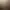 Image to Image AI effects generated image
