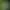Image to Image AI effects generated image