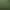 Image to Image AI effects generated image