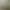 Image to Image AI effects generated image