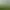 Image to Image AI effects generated image