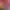 Image to Image AI effects generated image