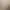 Image to Image AI effects generated image