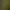 Image to Image AI effects generated image