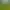 AI Image Editor AI effects generated image