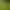 Image to Image AI effects generated image