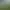 Image to Image AI effects generated image
