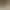 image_edit_gen AI effects generated image