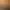 Image to Image AI effects generated image