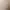 Image to Image AI effects generated image