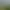 Image to Image AI effects generated image