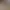 Image to Image AI effects generated image