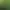 Image to Image AI effects generated image