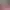 Image to Image AI effects generated image