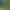 Image to Image AI effects generated image