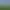 Image to Image AI effects generated image