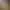 Image to Image AI effects generated image