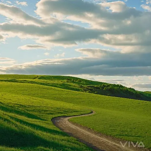 Image to Image